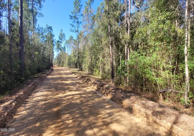 Photo 4 of Land for sale at 0 Dixie Ave, Fountain, FL 32438 | MLS# 791634 | Listing updated on 2026-07-29