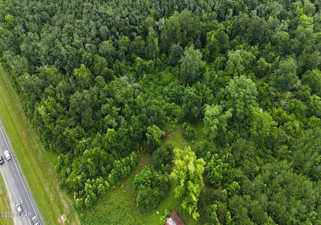 Photo 3 of Land for sale at 5500 US 231, Campbellton, FL 32426 | MLS# 791720 | Listing updated on 2026-09-13