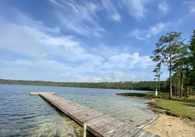 Photo 3 of Land for sale at Tbd Cleveland Dr, Alford, FL 32420 | MLS# 791742 | Listing updated on 2026-09-14