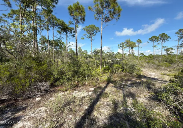 Photo 1 of Land for sale at Lot A Adventure Ave, Port St Joe, FL 32456 | MLS# 791862 | Listing updated on 2026-08-27