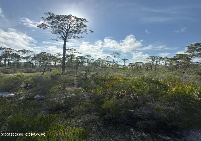 Photo 2 of Land for sale at Lot A Adventure Ave, Port St Joe, FL 32456 | MLS# 791862 | Listing updated on 2026-08-27