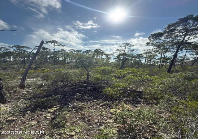 Photo 3 of Land for sale at Lot A Adventure Ave, Port St Joe, FL 32456 | MLS# 791862 | Listing updated on 2026-08-27