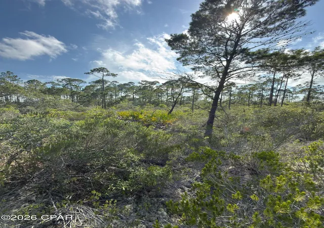 Photo 3 of Land for sale at Lot A Adventure Ave, Port St Joe, FL 32456 | MLS# 791862 | Listing updated on 2026-08-27