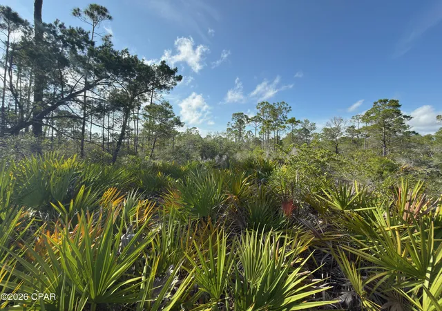 Photo 4 of Land for sale at Lot A Adventure Ave, Port St Joe, FL 32456 | MLS# 791862 | Listing updated on 2026-08-27
