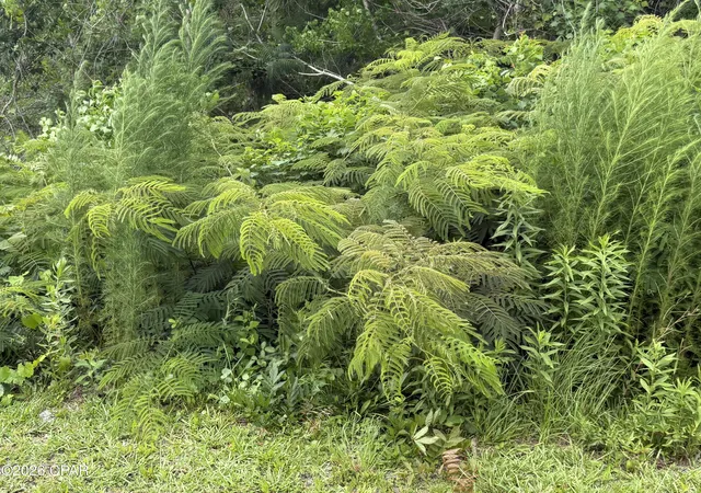 Photo 1 of Land for sale at 200 Beechwood Way, Panama City, FL 32404 | MLS# 791886 | Listing updated on 2026-07-31