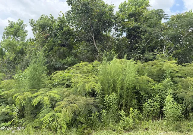 Photo 2 of Land for sale at 200 Beechwood Way, Panama City, FL 32404 | MLS# 791886 | Listing updated on 2026-07-31