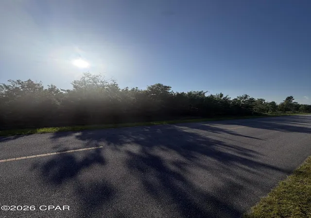 Land for sale at 6629 Porter Grade Rd, Altha, FL 32421 | MLS# 792024