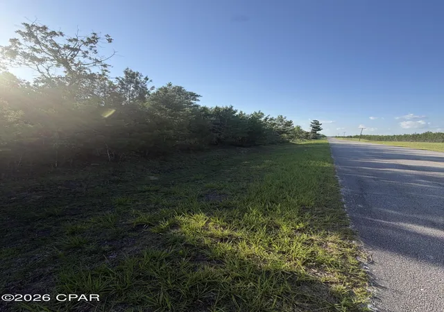 Photo 3 of Land for sale at 6629 Porter Grade Rd, Altha, FL 32421 | MLS# 792024 | Listing updated on 2026-08-04