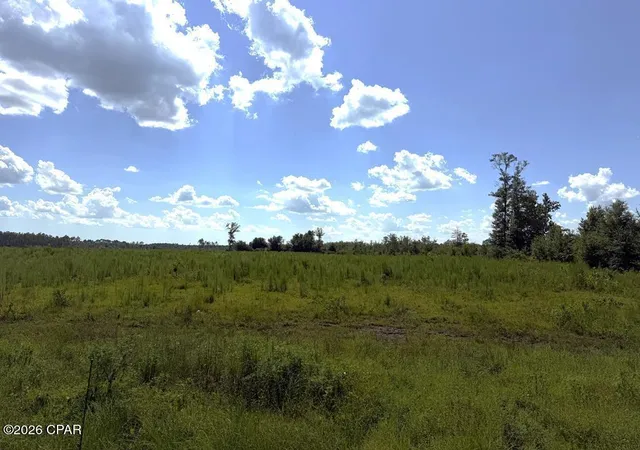 Photo 1 of Land for sale at Lot 2 Highway 71 S, Wewahitchka, FL 32465 | MLS# 792025 | Listing updated on 2026-09-15
