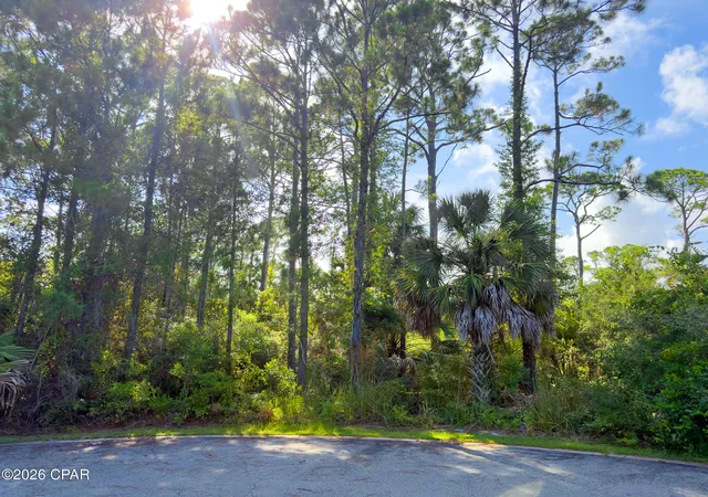 Photo 3 of Land for sale at Lot 15 Sweet Bay Ln, Port St Joe, FL 32456 | MLS# 792071 | Listing updated on 2026-08-21