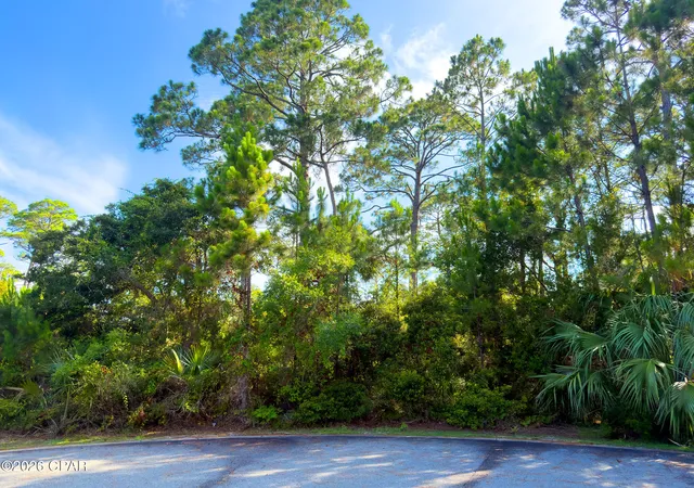 Photo 3 of Land for sale at Lot 14 Sweet Bay Ln, Port St Joe, FL 32456 | MLS# 792072 | Listing updated on 2026-08-25