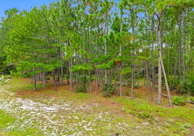 Photo 3 of Land for sale at 1509 Sweetbay Trl, Panama City Beach, FL 32413 | MLS# 792104 | Listing updated on 2026-08-26