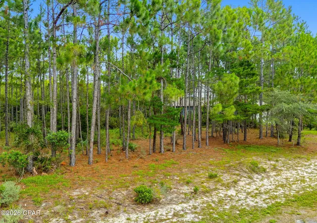 Photo 4 of Land for sale at 1509 Sweetbay Trl, Panama City Beach, FL 32413 | MLS# 792104 | Listing updated on 2026-08-26