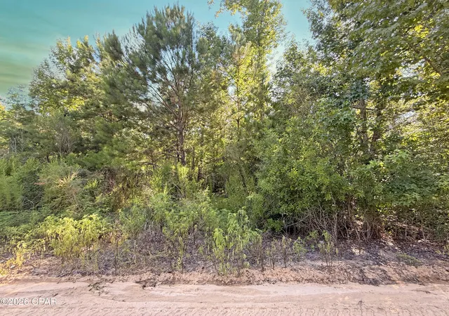 Photo 1 of Sale Pending at 6019 Se Blon Carter Rd, Blountstown, FL 32424 | MLS# 792215 | Listing updated on 2026-09-09