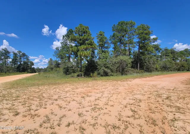 Photo 1 of Land for sale at 0 Cormick Cir, Alford, FL 32420 | MLS# 792420 | Listing updated on 2026-09-01