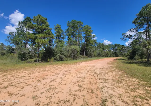 Photo 2 of Land for sale at 0 Cormick Cir, Alford, FL 32420 | MLS# 792420 | Listing updated on 2026-09-01