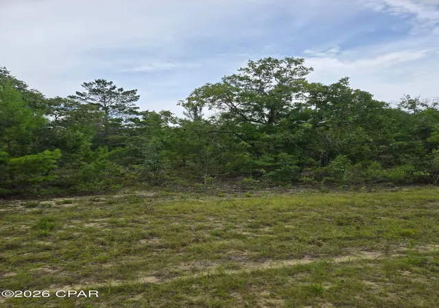Photo 3 of Land for sale at Tbd Banner Ln, Chipley, FL 32428 | MLS# 792433 | Listing updated on 2026-09-08