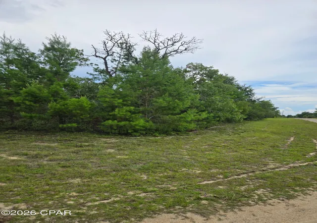 Photo 4 of Land for sale at Tbd Banner Ln, Chipley, FL 32428 | MLS# 792433 | Listing updated on 2026-09-08