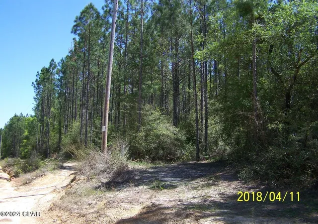Photo 3 of Land for sale at 00 Noland Pond Rd, Alford, FL 32420 | MLS# 792501 | Listing updated on 2026-08-24