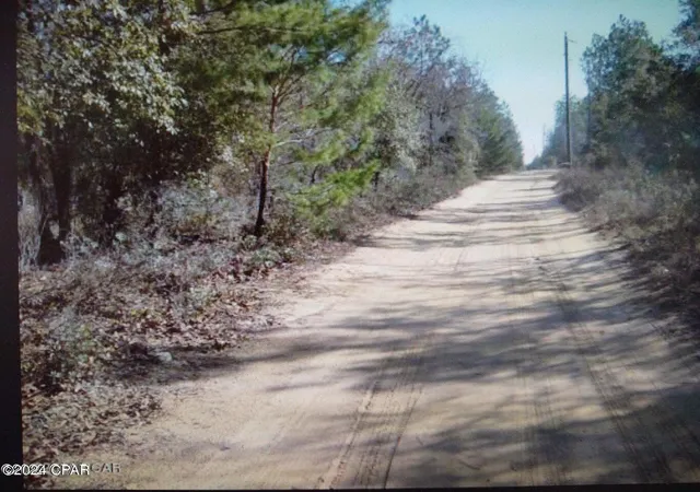 Photo 4 of Land for sale at 00 Noland Pond Rd, Alford, FL 32420 | MLS# 792501 | Listing updated on 2026-08-24