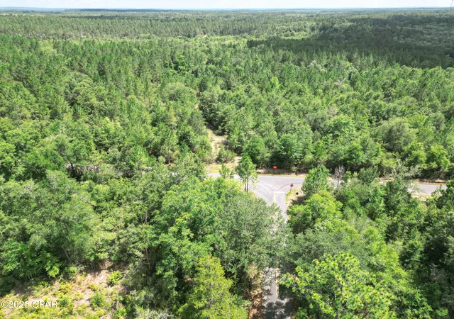 Photo 4 of Land for sale at 0009 Bess Nook Rd, Bonifay, FL 32425 | MLS# 792610 | Listing updated on 2026-08-08