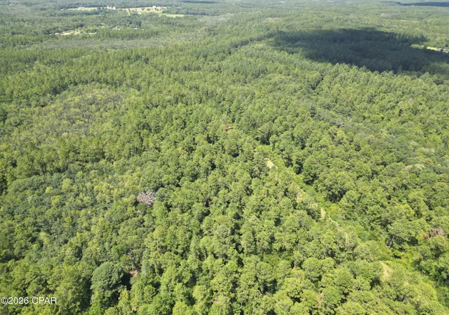 Photo 3 of Land for sale at 0013 Hawthorne Trl Canopy Oaks, Bonifay, FL 32425 | MLS# 792794 | Listing updated on 2026-08-23