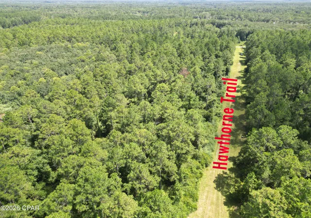 Photo 4 of Land for sale at 0013 Hawthorne Trl Canopy Oaks, Bonifay, FL 32425 | MLS# 792794 | Listing updated on 2026-08-23
