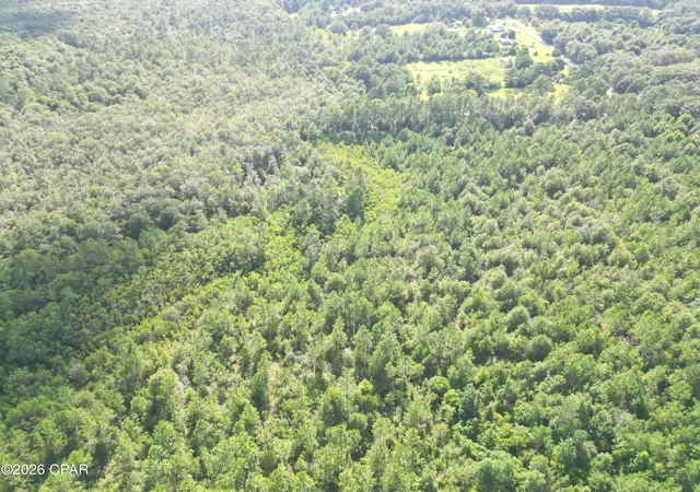 Photo 3 of Land for sale at 0007 Douglas Fry Rd, Bonifay, FL 32425 | MLS# 792818 | Listing updated on 2026-08-08