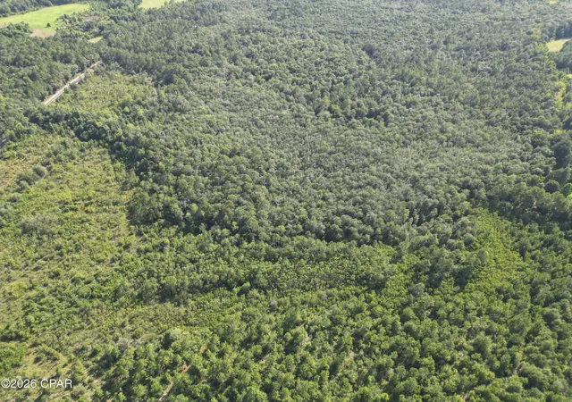 Photo 3 of Land for sale at 0007 Douglas Fry Rd, Bonifay, FL 32425 | MLS# 792818 | Listing updated on 2026-08-08