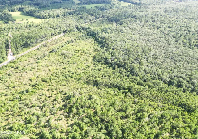 Photo 4 of Land for sale at 0007 Douglas Fry Rd, Bonifay, FL 32425 | MLS# 792818 | Listing updated on 2026-08-08