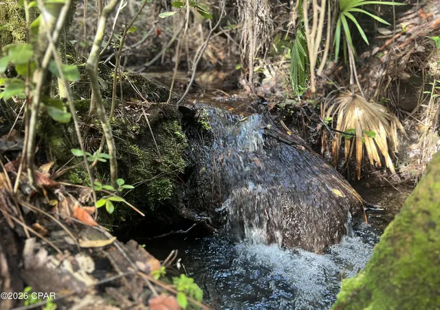 Photo 3 of Land for sale at 0 Foxhunt Rd, Fountain, FL 32438 | MLS# 792955 | Listing updated on 2026-08-27