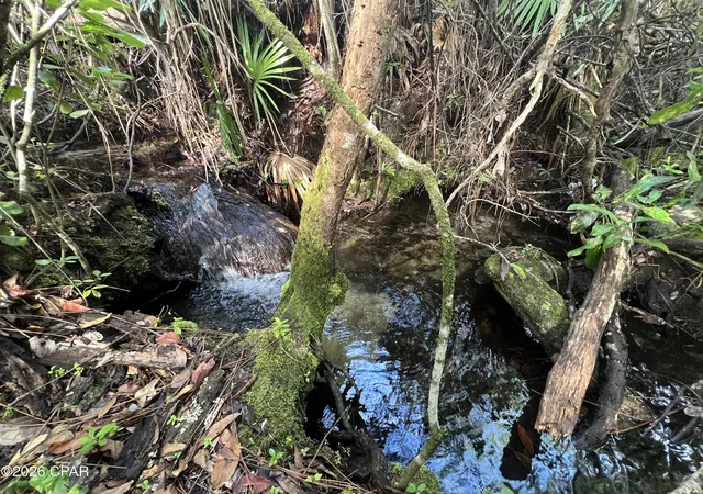 Photo 4 of Land for sale at 0 Foxhunt Rd, Fountain, FL 32438 | MLS# 792955 | Listing updated on 2026-08-27