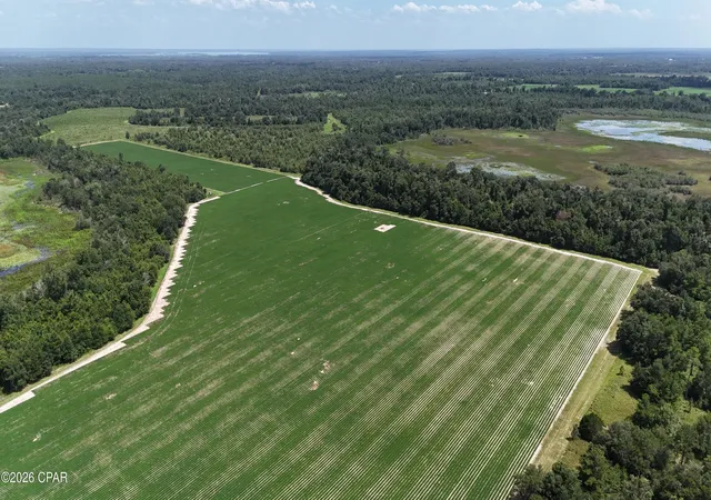 Land for sale at 0 Longpond Rd, Grand Ridge, FL 32442 | MLS# 793069