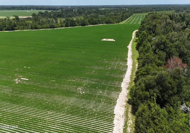 Photo 2 of Land for sale at 0 Longpond Rd, Grand Ridge, FL 32442 | MLS# 793069 | Listing updated on 2026-09-17