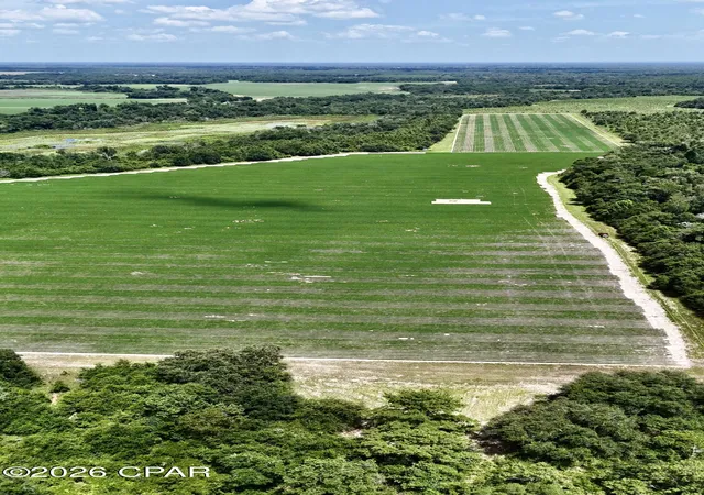 Photo 3 of Land for sale at 0 Longpond Rd, Grand Ridge, FL 32442 | MLS# 793069 | Listing updated on 2026-09-17
