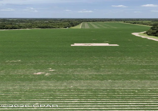 Photo 3 of Land for sale at 0 Longpond Rd, Grand Ridge, FL 32442 | MLS# 793069 | Listing updated on 2026-09-17