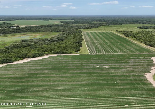 Photo 4 of Land for sale at 0 Longpond Rd, Grand Ridge, FL 32442 | MLS# 793069 | Listing updated on 2026-09-17