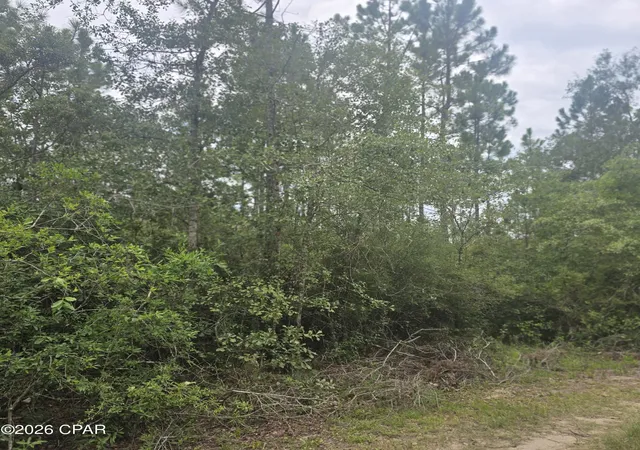 Photo 1 of Land for sale at 10320 River Aly Rd, Youngstown, FL 32466 | MLS# 793238 | Listing updated on 2026-08-30