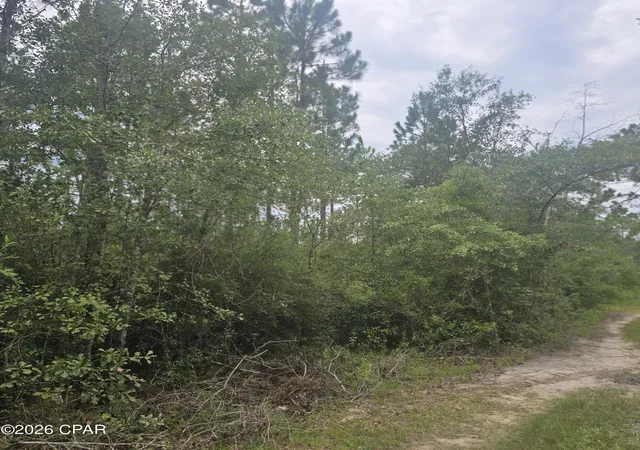 Photo 3 of Land for sale at 10320 River Aly Rd, Youngstown, FL 32466 | MLS# 793238 | Listing updated on 2026-08-30