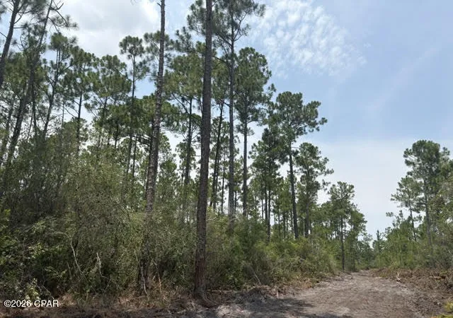 Photo 1 of Land for sale at 22563 Nw Lake Mckenzie Blvd, Altha, FL 32421 | MLS# 793242 | Listing updated on 2026-07-28