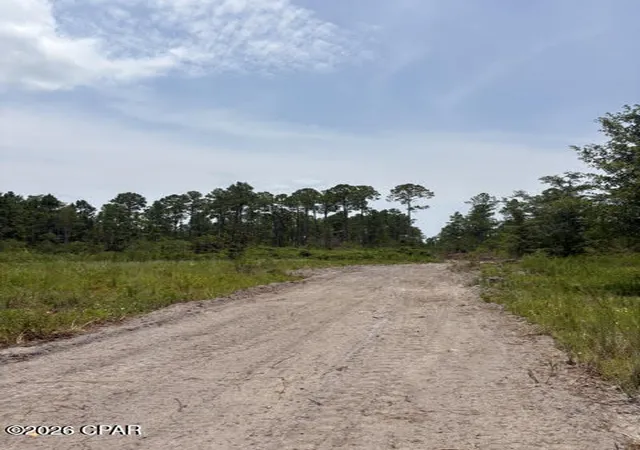 Photo 2 of Land for sale at 22563 Nw Lake Mckenzie Blvd, Altha, FL 32421 | MLS# 793242 | Listing updated on 2026-07-28