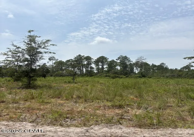 Photo 3 of Land for sale at 22563 Nw Lake Mckenzie Blvd, Altha, FL 32421 | MLS# 793242 | Listing updated on 2026-07-28