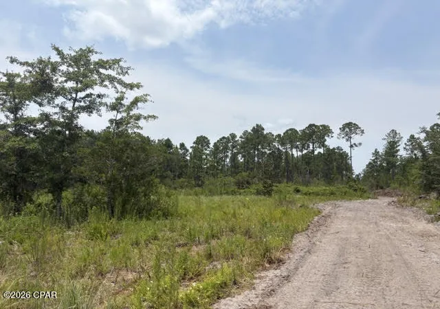 Photo 3 of Land for sale at 22563 NW Lake Mckenzie Blvd, Altha, FL 32421 | MLS# 793242 | Listing updated on 2026-07-28
