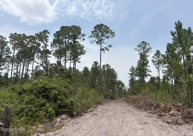 Photo 4 of Land for sale at 22563 NW Lake Mckenzie Blvd, Altha, FL 32421 | MLS# 793242 | Listing updated on 2026-07-28