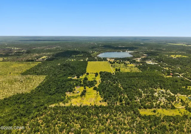 Photo 4 of Land for sale at 20905 NW Henson Rd, Altha, FL 32421 | MLS# 793319 | Listing updated on 2026-07-30