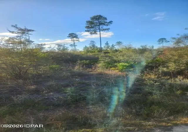 Photo 3 of Land for sale at 00 Nw Hwy 167 County Rd, Fountain, FL 32438 | MLS# 793327 | Listing updated on 2026-07-31