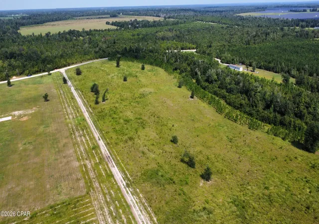 Photo 3 of Land for sale at 0 Bailey Cemetery Rd, Altha, FL 32421 | MLS# 793459 | Listing updated on 2026-08-02
