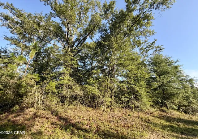 Photo 1 of Sale Pending at Lot 26 Grove Ln, Marianna, FL 32448 | MLS# 793495 | Listing updated on 2026-08-25