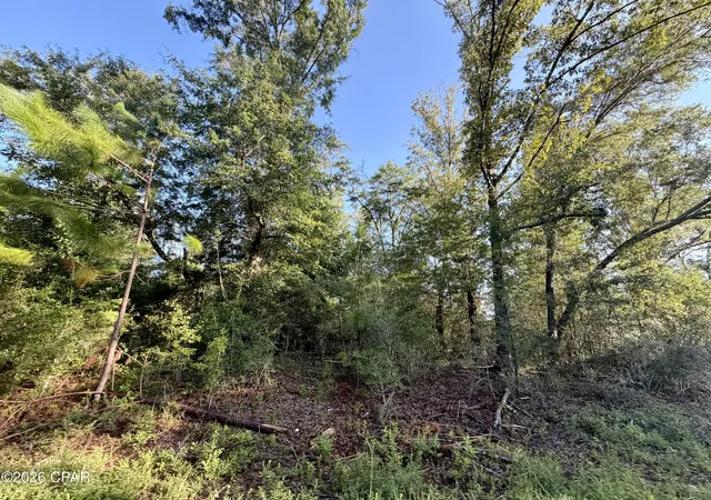 Photo 2 of Sale Pending at Lot 26 Grove Ln, Marianna, FL 32448 | MLS# 793495 | Listing updated on 2026-08-25