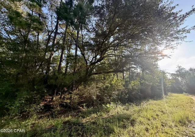 Photo 3 of Sale Pending at Lot 26 Grove Ln, Marianna, FL 32448 | MLS# 793495 | Listing updated on 2026-08-25